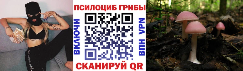 Псилоцибиновые грибы MAGIC MUSHROOMS  Купить закладки  Ардон 